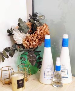 lissage Discovery
